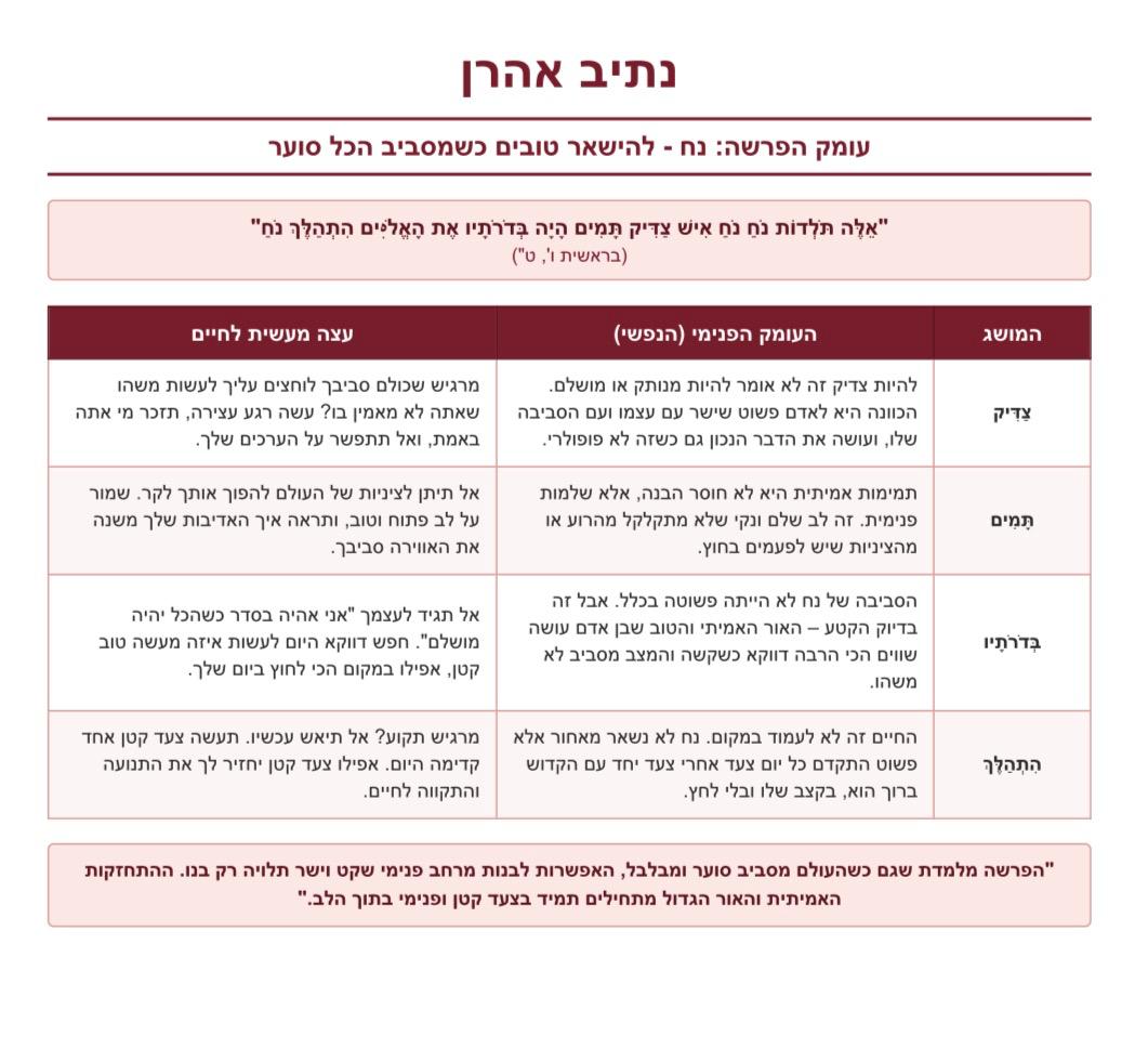 עומק הפרשה: נח - להישאר טובים כשמסביב הכל סוער